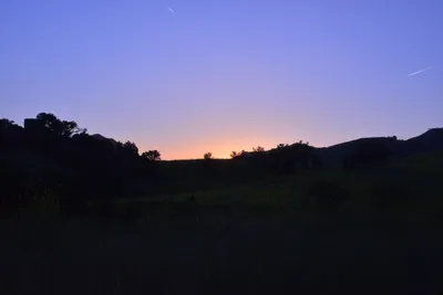 DSC_6250 (Large).JPG